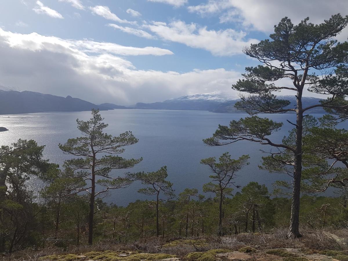 Treehut, Nature, Birds, Silence And Fjord Samlanes Zewnętrze zdjęcie
