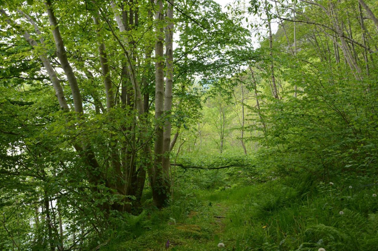 Treehut, Nature, Birds, Silence And Fjord Samlanes Zewnętrze zdjęcie
