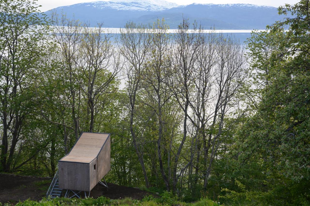 Treehut, Nature, Birds, Silence And Fjord Samlanes Zewnętrze zdjęcie