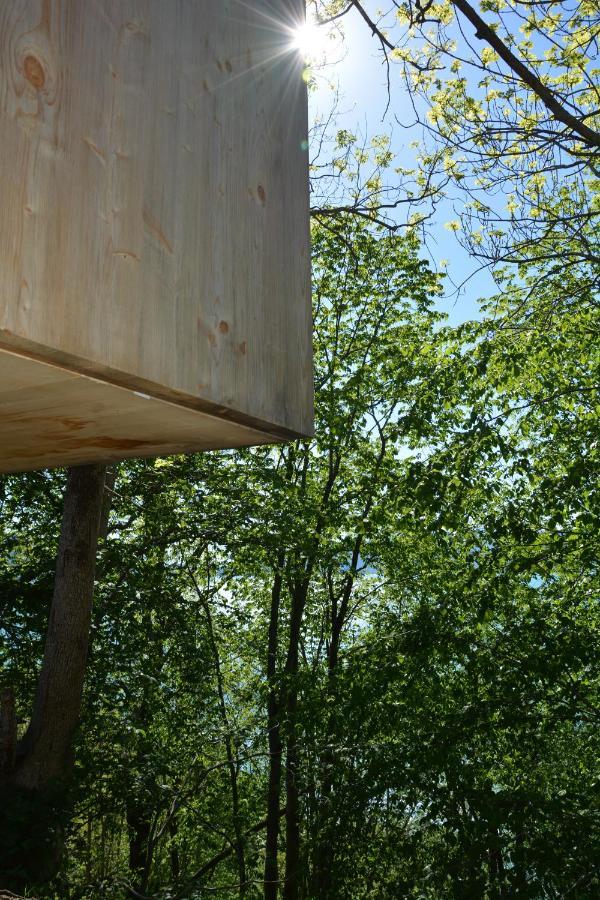 Treehut, Nature, Birds, Silence And Fjord Samlanes Zewnętrze zdjęcie