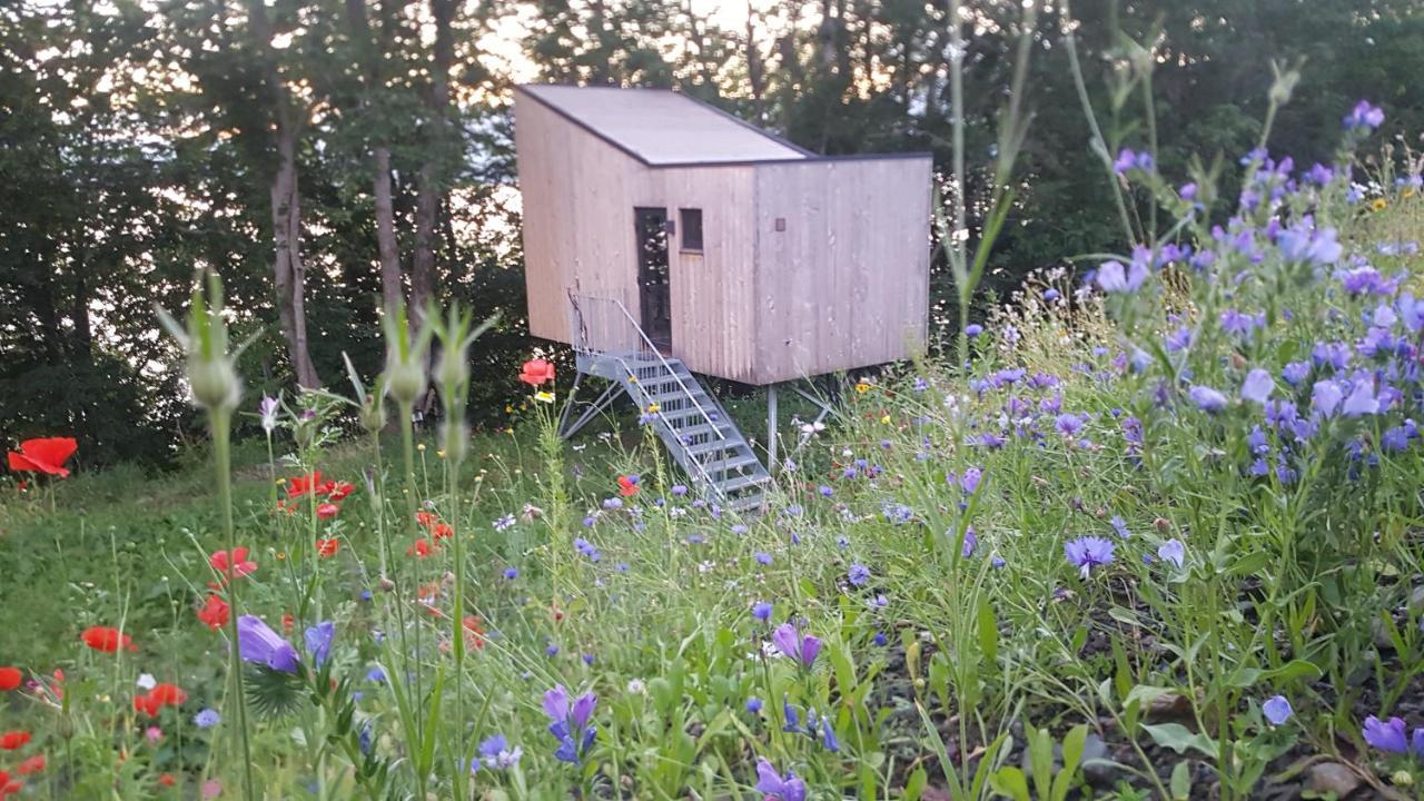 Treehut, Nature, Birds, Silence And Fjord Samlanes Zewnętrze zdjęcie