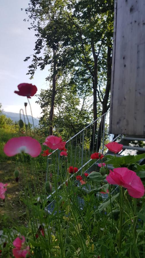 Treehut, Nature, Birds, Silence And Fjord Samlanes Zewnętrze zdjęcie